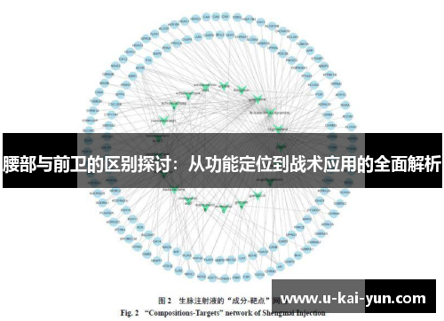 腰部与前卫的区别探讨：从功能定位到战术应用的全面解析