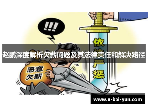 赵鹏深度解析欠薪问题及其法律责任和解决路径