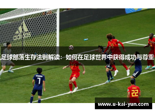 足球部落生存法则解读：如何在足球世界中获得成功与尊重