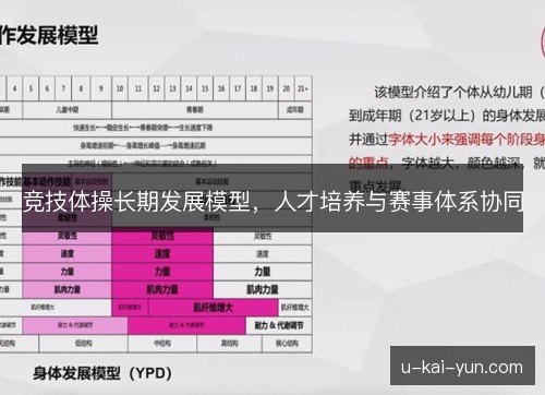 竞技体操长期发展模型,人才培养与赛事体系协同 竞技体操长期发展模型,人才培养与赛事体系协同
